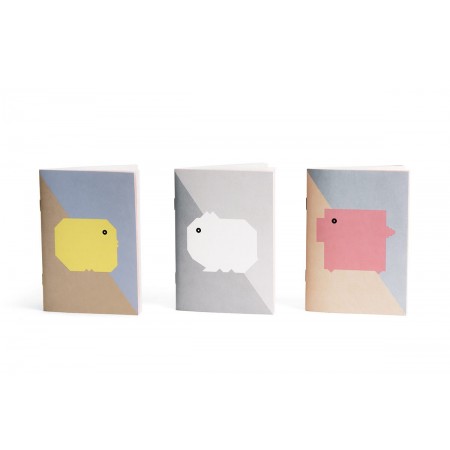 Trio carnets collection BB Papier Merveille