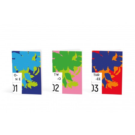 Trio de carnets A6 Flower Monster