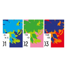 Trio de carnets A6 Flower Monster