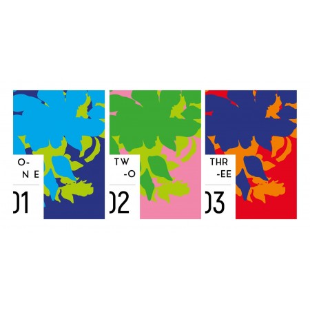 Trio de carnets A6 Flower Monster